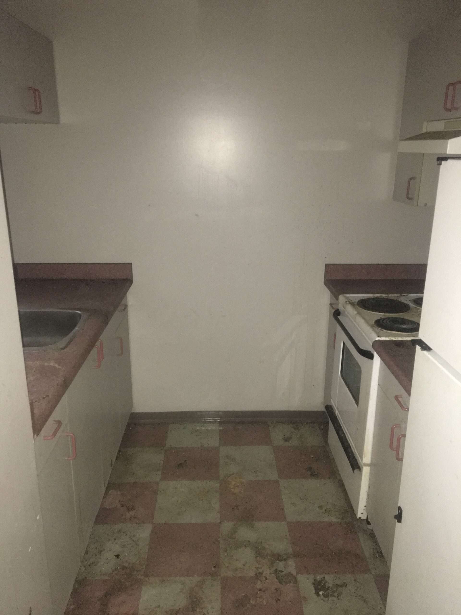 A clean kitchen after a hoarding removal in Delta.